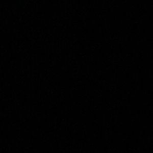 Meet your Posher, Max